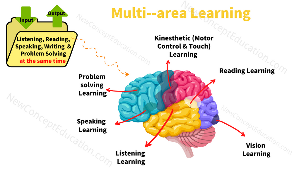 The best way to learn Chinese efficiently is by using the Multi-area of the brain.