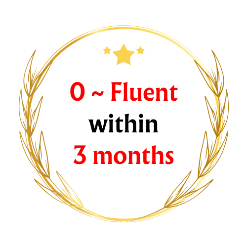 0 ~ Fluent within 3 months